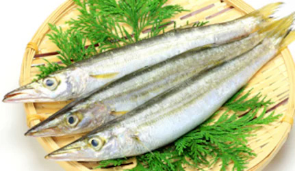Fresh Barracuda Fish at METRO Wholesale India