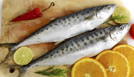 Fresh Seer Fish at METRO Wholesale India