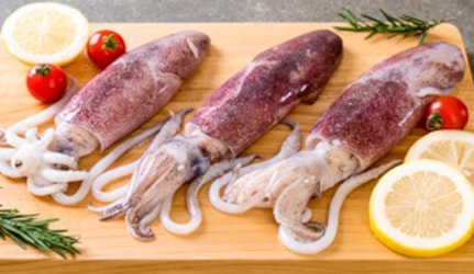 Fresh Squids at METRO Wholesale India